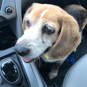 Meet your Posher, Matthew